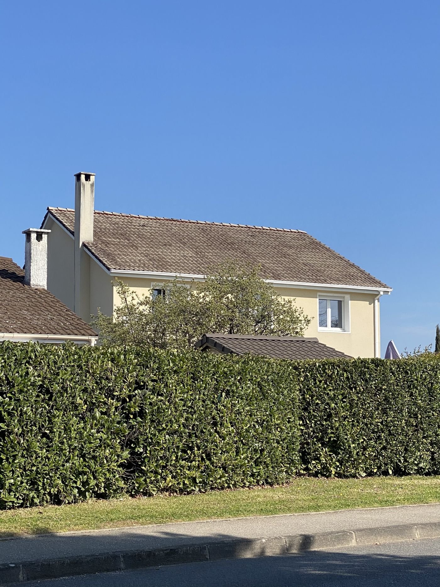 Toiture avant démoussage — maison avec haie
